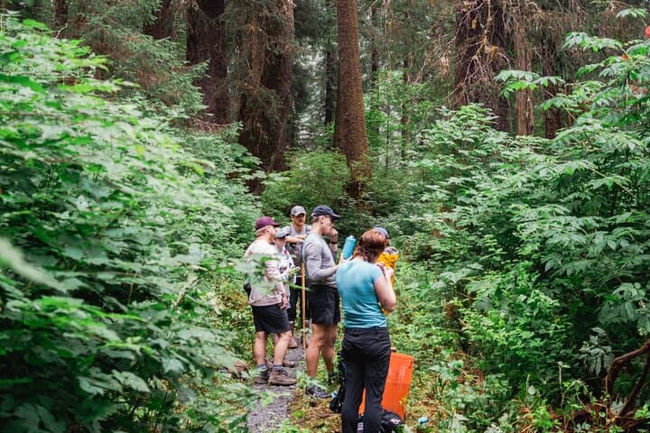 Guided Beaver Lake Hike in Sitka — Alaskan Wilderness Trail photo 3