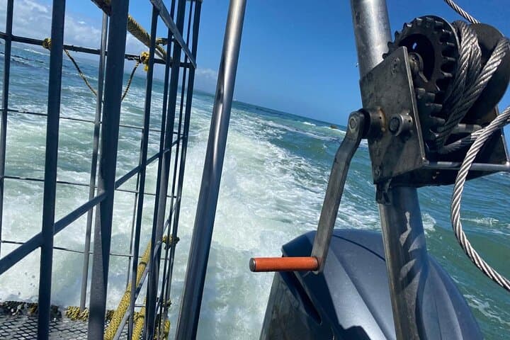 Shark Cage Diving & Winelands Private Tour from Cape Town photo 4