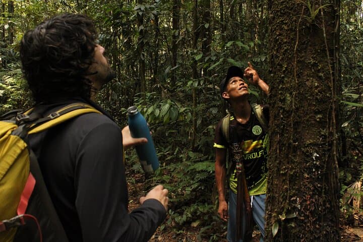 Extreme Calderon: 4-Day Amazon Jungle Trek from Leticia