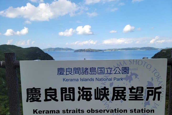 Kerama Tokashiki Island Whale Watching & Aharen Beach Day Trip from Naha photo 3