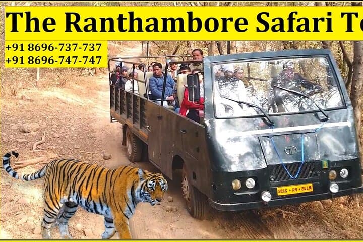 Ranthambore Canter Safari: 20-Seater Tiger-Spotting Experience