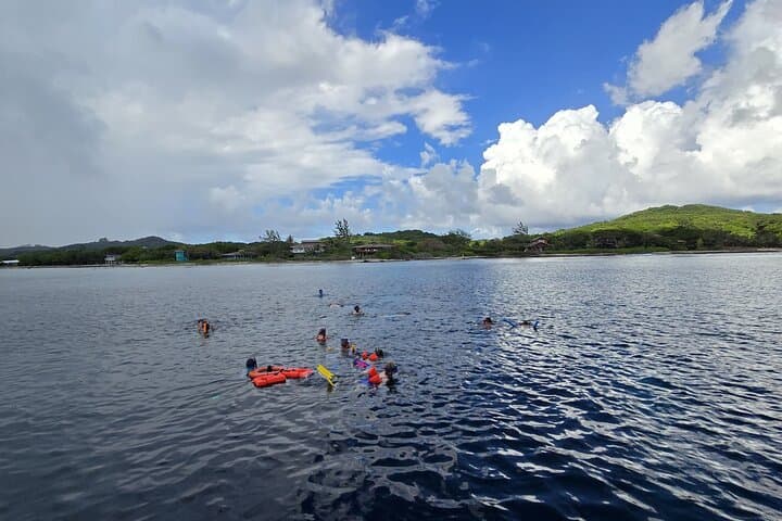 Roatán Private Sanctuary & Reef Snorkel: Guided Beach Club Escape photo 3
