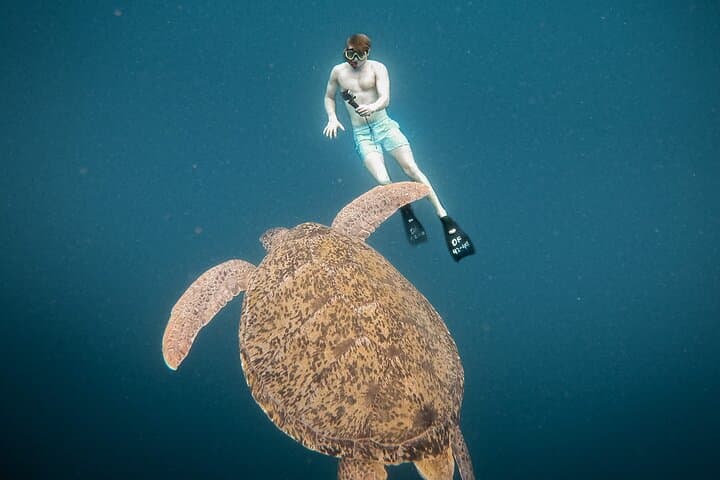 Snorkel with Manta Rays & West Coast Tour Nusa Penida photo 2