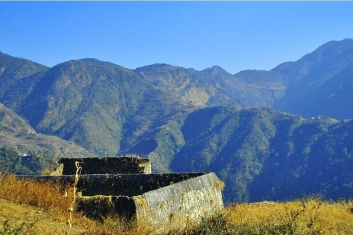 Phulchowki Day Hike: Summit Views & Birding Above Kathmandu photo 4