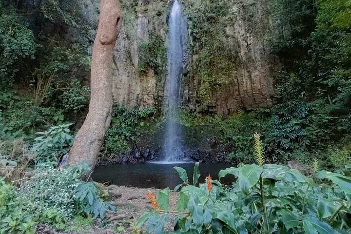 Madeira's High Roads: Pico do Arieiro to Santana and Ponta de Sao Lorenco photo 2