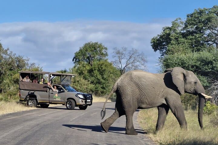 Kruger Full-Day Safari: Big Five Game Drive and Wildlife Viewing photo 2