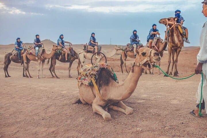 Agafay Desert Sunset Dinner & Camel Ride — Berber Camp Experience from Marrakech photo 3