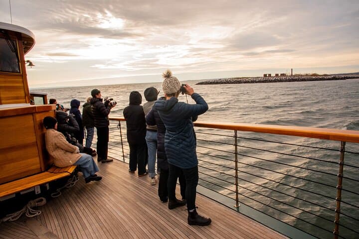 Winter Seal Cruise: NYC Sightseeing & Wildlife Boat Tour from Chelsea Piers photo 5