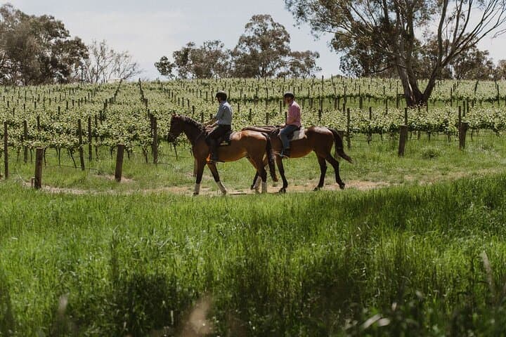 Horseback Wine Tasting in Adelaide Hills: Woodside Trail Ride & Cellar Door
