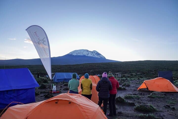 8-Day Lemosho Route Climb: Mount Kilimanjaro Trek for Experienced Trekkers