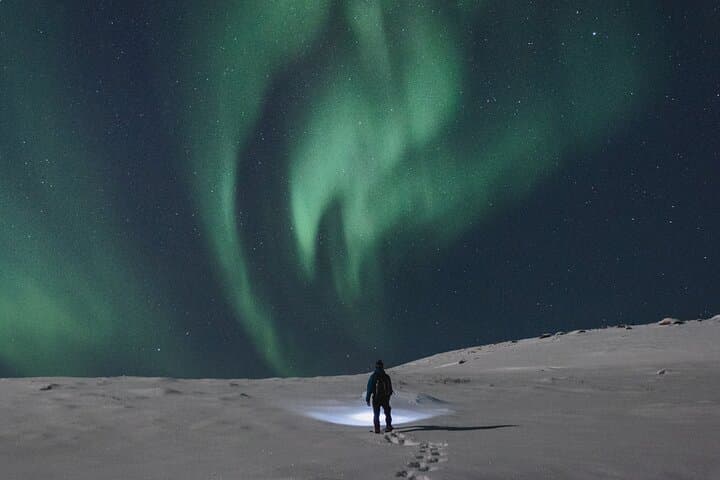 Northern Lights Photography Tour in Lofoten: Aurora Chase from Svolvaer photo 3