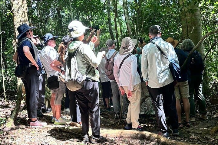 Kakum National Park Canopy Walk: Private Shore Excursion from Takoradi photo 2