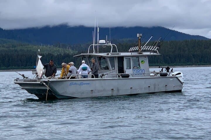 Halibut Fishing Charter at Icy Strait Point — Alaska Day Trip for Humpbacks & Deep-Sea Halibut photo 5