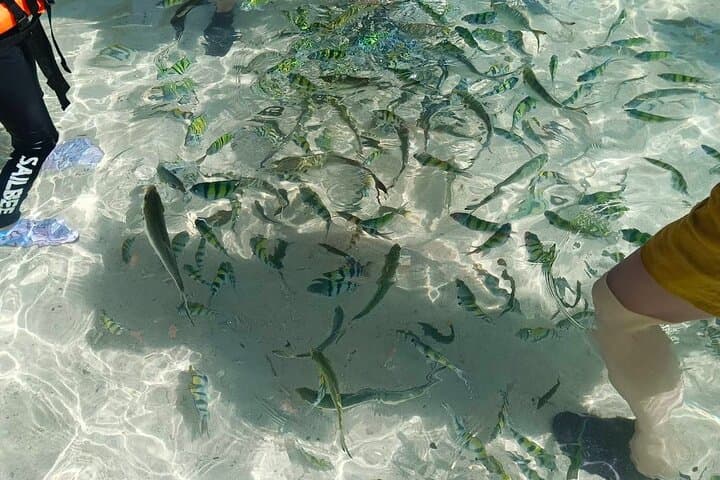 Phuket Khai Islands: Half-Day Snorkel & Beach Escape photo 4