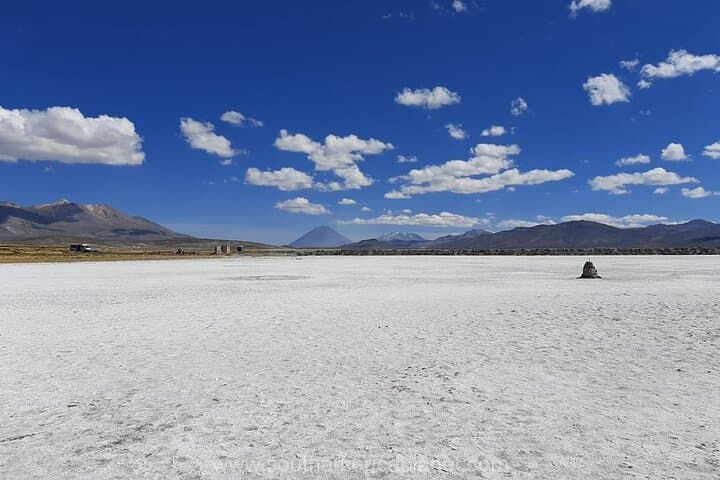 Salinas Lagoon Half-Day Tour from Arequipa — Volcano Views, Camelids & Hot Springs photo 5