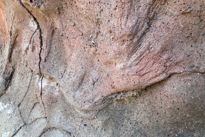 Mount Eccles Volcano Guided Geology Tour at Budj Bim National Park photo 4