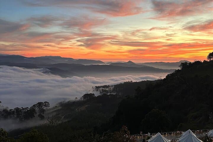 Cloud Hunting at Cau Dat: Da Lat Sunrise, Tea Hills & Strawberry Picking photo 5