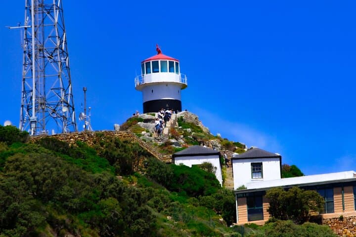 Cape Point & Boulders Beach Half-Day: Penguins, Cliffs and Chapman’s Peak Drive
