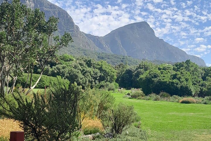Constantia Private Wine Tour: Kirstenbosch, Groot Constantia & Beau Constantia in 6 Hours photo 3
