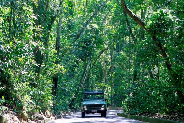 4-Day Rio de Janeiro Essentials: Sugarloaf, Corcovado & Tijuca Forest photo 6