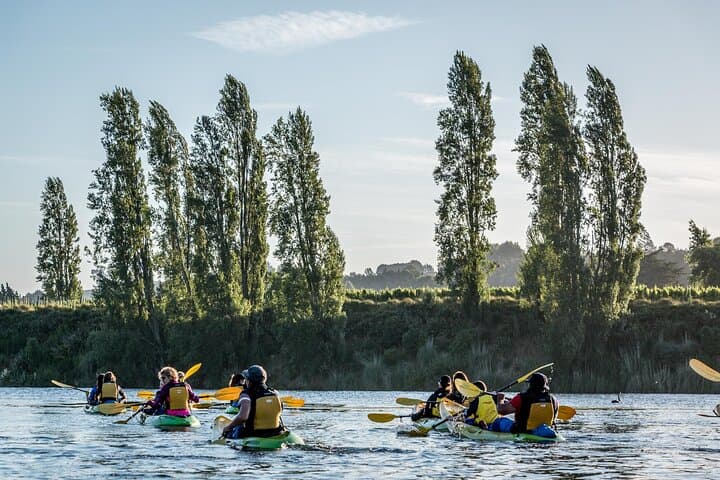 Daytime Canyon Kayak Tour on the Waikato River — Paddle Horahora & Lake Karāpiro photo 4