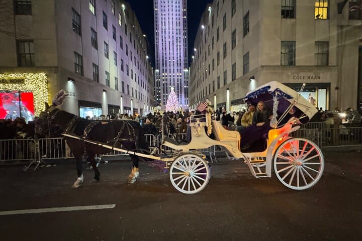 Magical NYC Christmas Lights Horse Carriage Ride Near Central Park photo 2