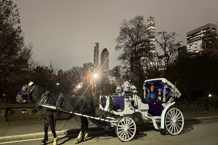 Magical NYC Christmas Lights Horse Carriage Ride Near Central Park photo 3