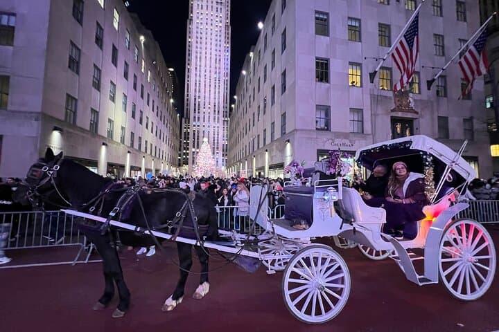 Magical NYC Christmas Lights Horse Carriage Ride Near Central Park photo 1