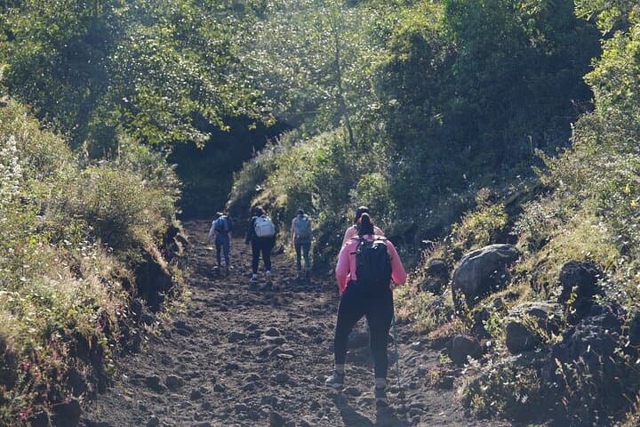 Private Pacaya Volcano Hike from Antigua: Marshmallows, Lava Views & Horse Option photo 4