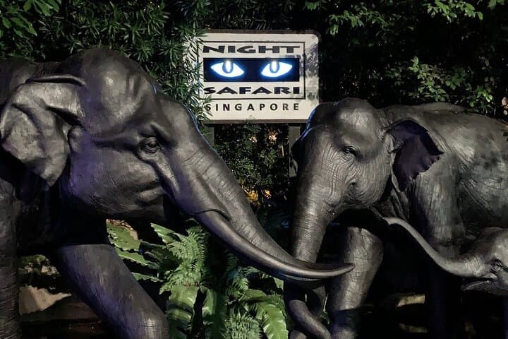 Mandai Wildlife Reserve Combo: Singapore Zoo, Night Safari & River Wonders with Hotel Transfers photo 4
