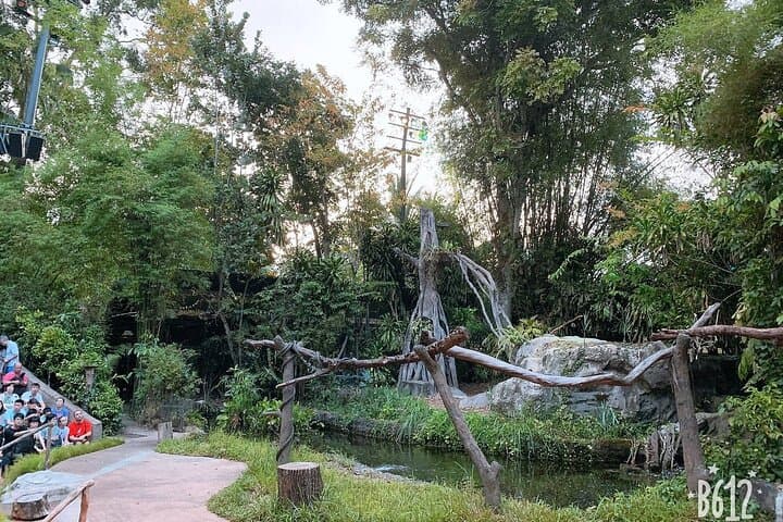 Mandai Wildlife Reserve Combo: Singapore Zoo, Night Safari & River Wonders with Hotel Transfers photo 2