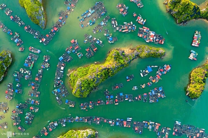 Cat Ba National Park & Lan Ha Bay: 2-Day Trek, Kayak & Homestay from Hanoi photo 6