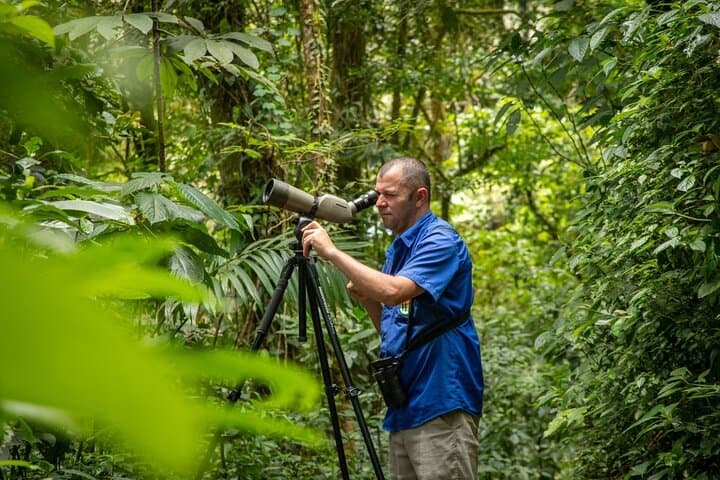 Monteverde Cloud Forest Hike: Guided Walk for Birding & Quetzal Viewing photo 3