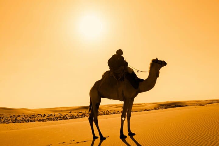 Marrakech’s Agafay Desert: Quads, Camels and a Moroccan Feast photo 3