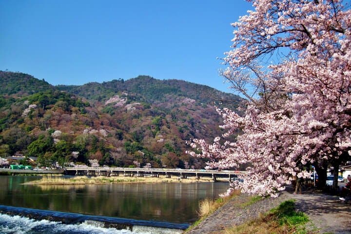 Kyoto Day & Night from Osaka: Arashiyama Bamboo, Fushimi Inari & Kobe Beef Dinner photo 2