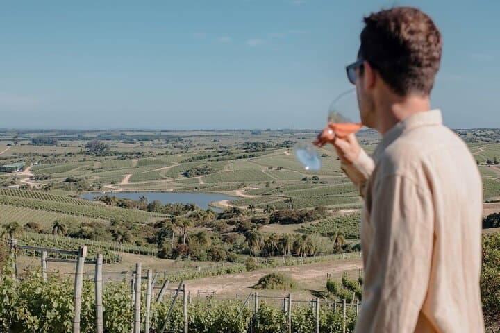Bodega Garzón Wine Experience from Punta del Este — Day Trip to Uruguay's Top Winery photo 2