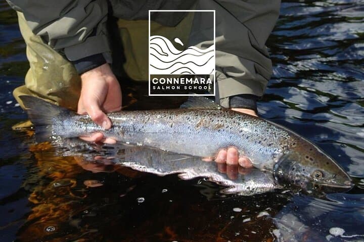 Connemara Salmon School: Full-Day Salmon Fishing & Casting in Leenane