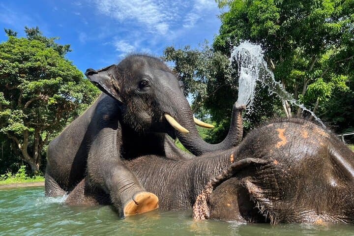 Phuket Cultural Sightseeing Tour with Ethical Elephant Sanctuary Visit photo 2