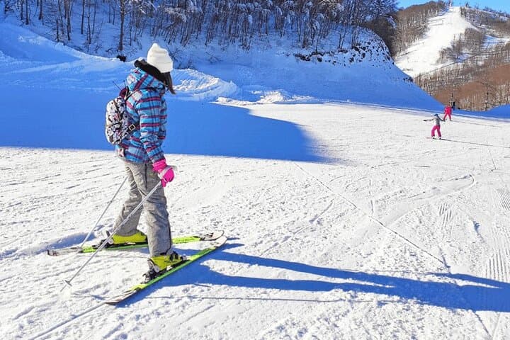 Istanbul to Uludağ: Private Full-Day Ski Tour from Istanbul photo 2