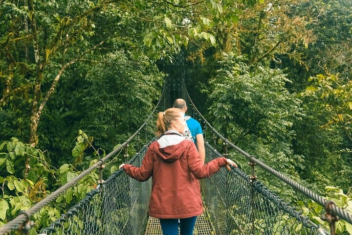 Arenal Hanging Bridges Nature Walk — Mistico Park Rainforest & Volcano Views