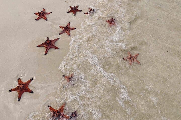 Private Phu Quoc Local Life & Starfish Beach (Rach Vem) Day Tour photo 3