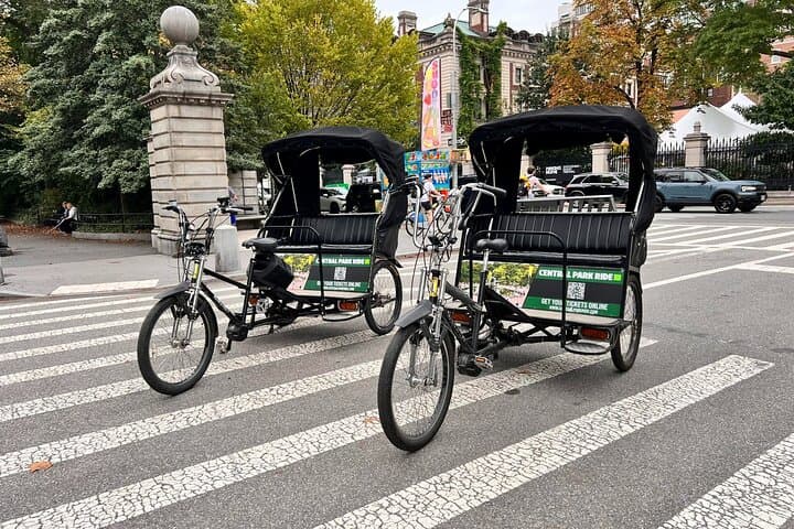 Central Park Pedicab Tour: Private Guided Ride from 59th Street