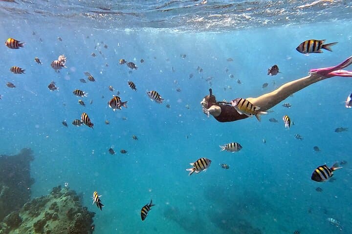 Kona Snorkeling Adventure Open Charter: 4.5-Hour Kona Coast Reef Trip photo 1