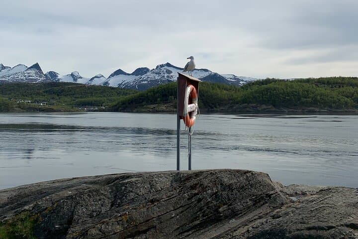 Saltstraumen: Touring the World's Strongest Tidal Whirlpools photo 4