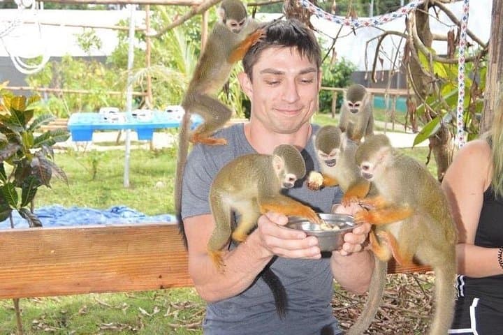 Puerto Plata City Tour with Monkeys — Amber, Rum & Cevallos Wildlife Experience photo 1