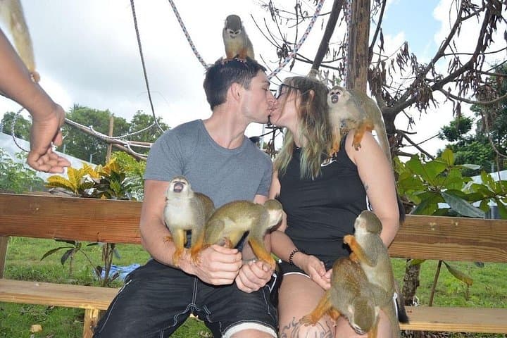 Puerto Plata City Tour with Monkeys — Amber, Rum & Cevallos Wildlife Experience photo 3