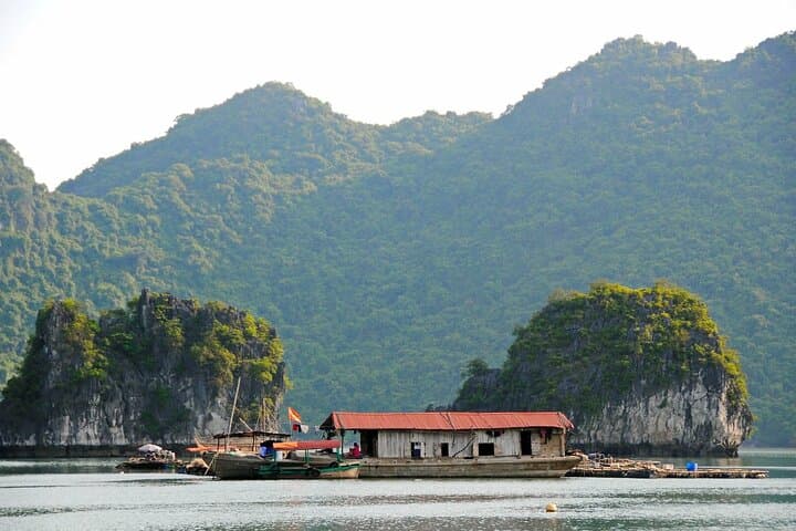 Cat Ba National Park & Lan Ha Bay: 2-Day Trek, Kayak & Homestay from Hanoi photo 3