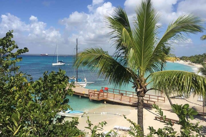 Full-Day Catalina Island Snorkel from Juan Dolio & Boca Chica — The Wall, Beaches & Boat Transfer