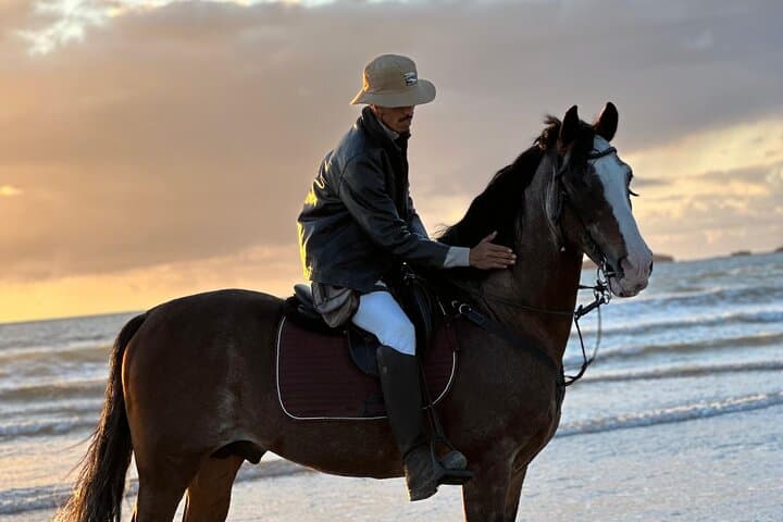 Sunset Horseback Ride on Essaouira Beach — 2-Hour Guided Coastal Experience photo 5