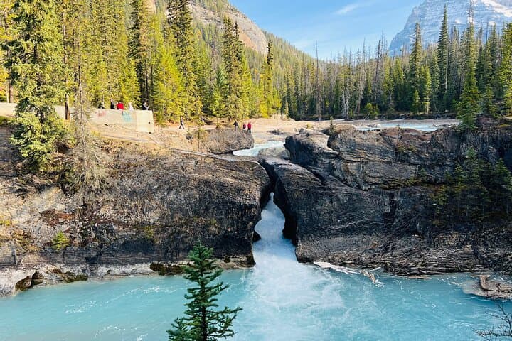 Full-Day Yoho National Park Tour: Emerald Lake, Natural Bridge, Wapta & Takakkaw Falls photo 5